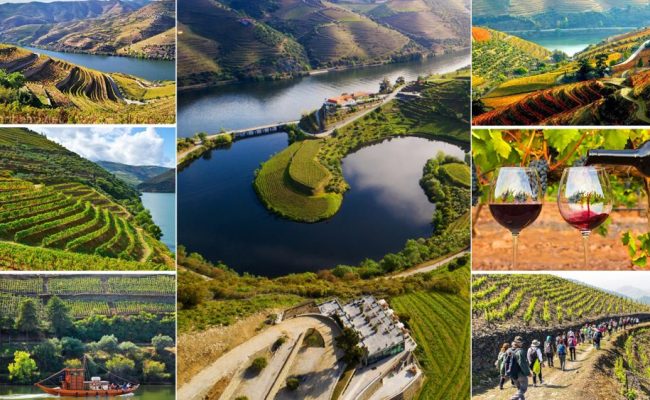 douro-915x614