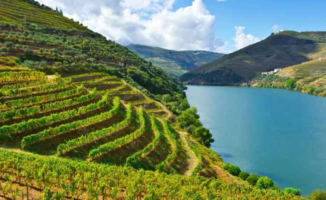tour-no-vale-do-douro-8